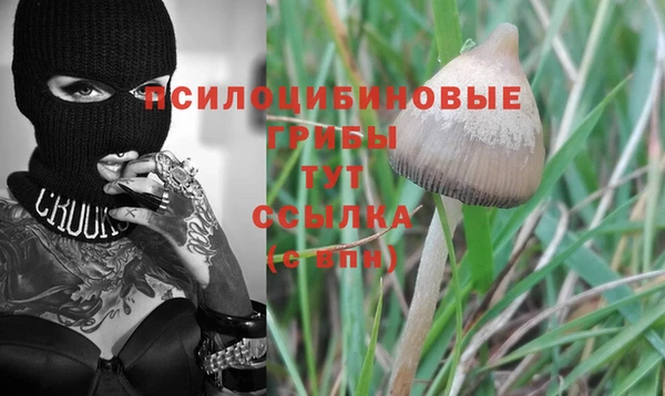 прущие крисы Нязепетровск