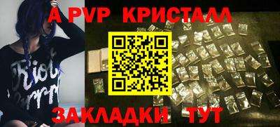 PSILOCYBIN Гатчина