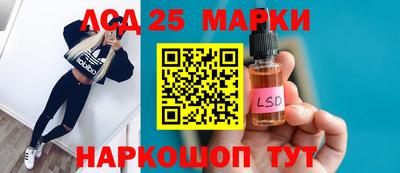 PSILOCYBIN Гатчина