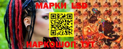 PSILOCYBIN Гатчина