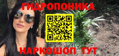 PSILOCYBIN Гатчина