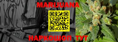 прущие грибы Гагарин