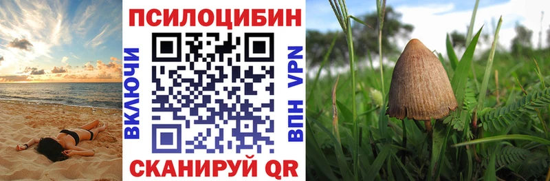 Псилоцибиновые грибы прущие грибы Североморск