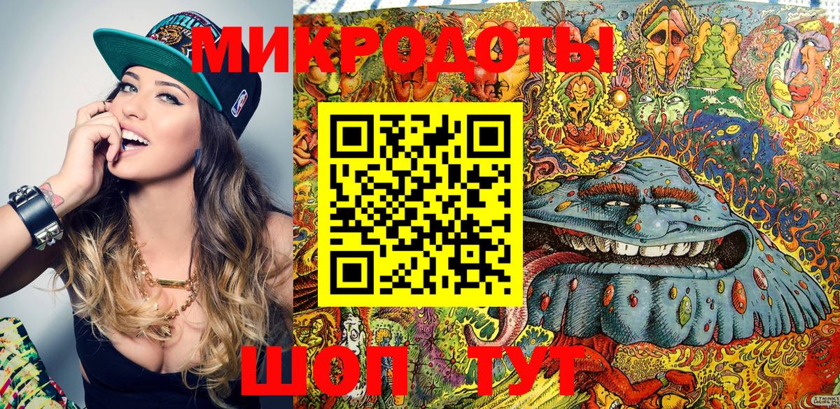 Псилоцибиновые грибы Psilocybe Североморск