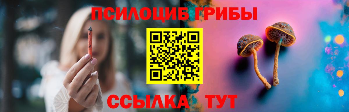 Североморск  Псилоцибиновые грибы Psilocybe  Галлюциногенные грибы Cubensis  Вход с VPN 
